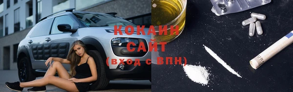 spice Алзамай