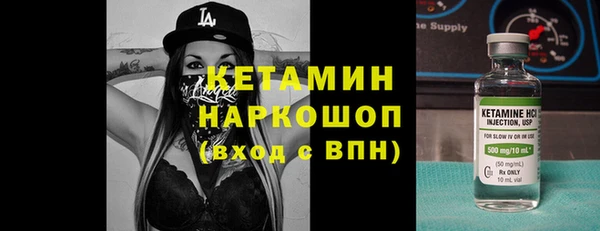 крисы Алексин