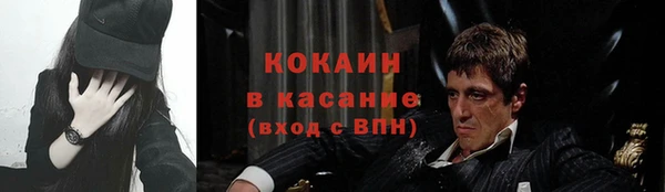 крисы Алексин