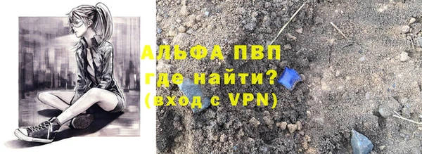 крисы Алексин