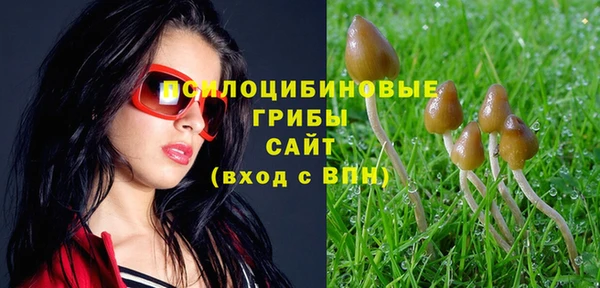 spice Алзамай
