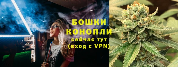 spice Алзамай